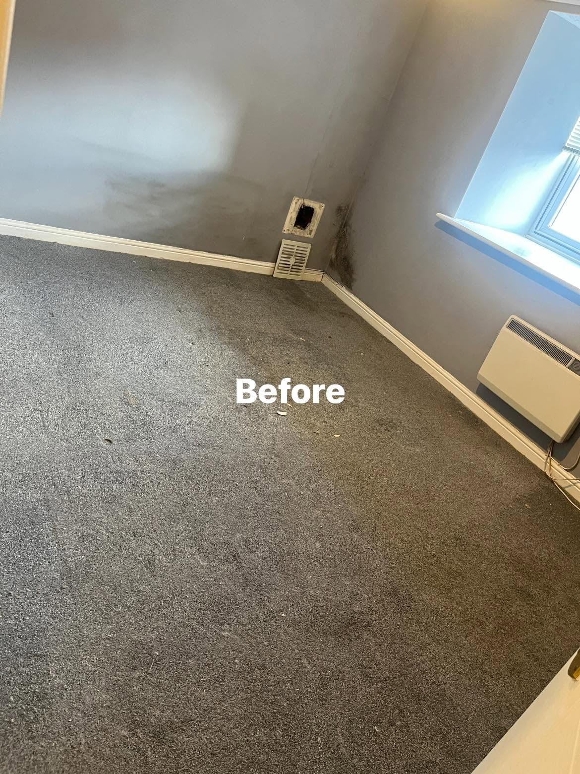Before: Grey carpet in an empty bedroom after cleaning